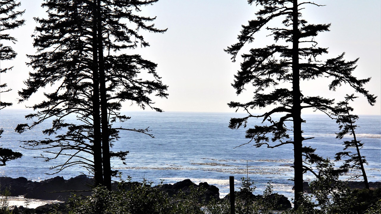 Photo of Others in Ucluelet