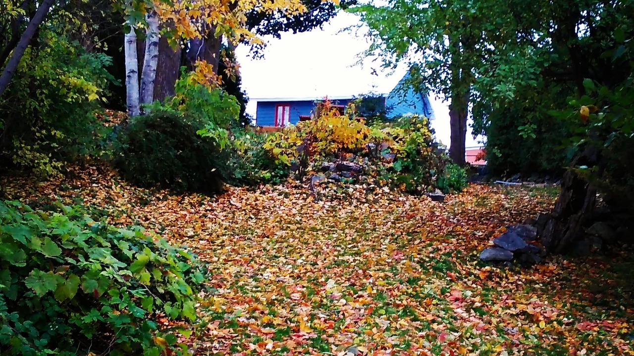 Photo of Outdoor in Terrebonne