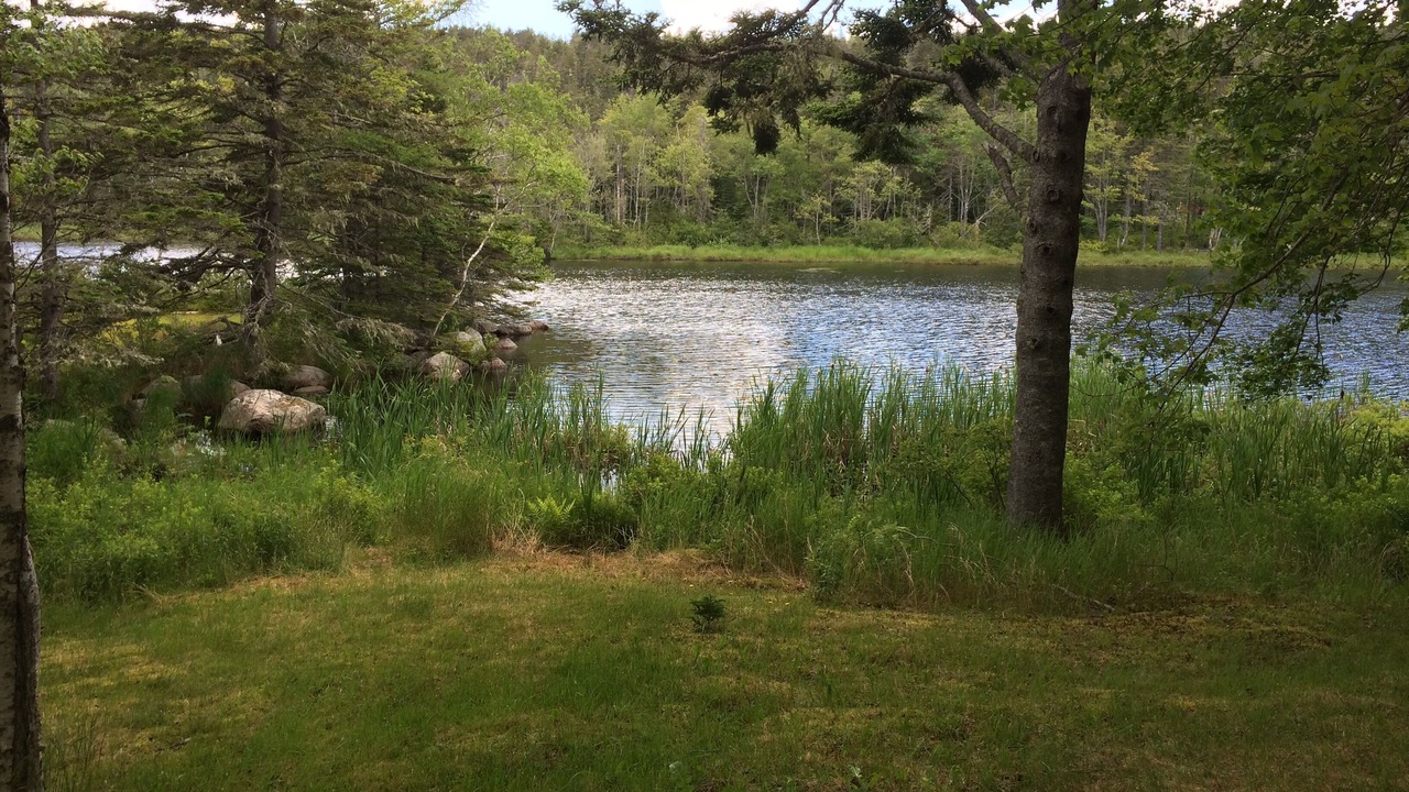 Photo of Outdoor in Ingramport