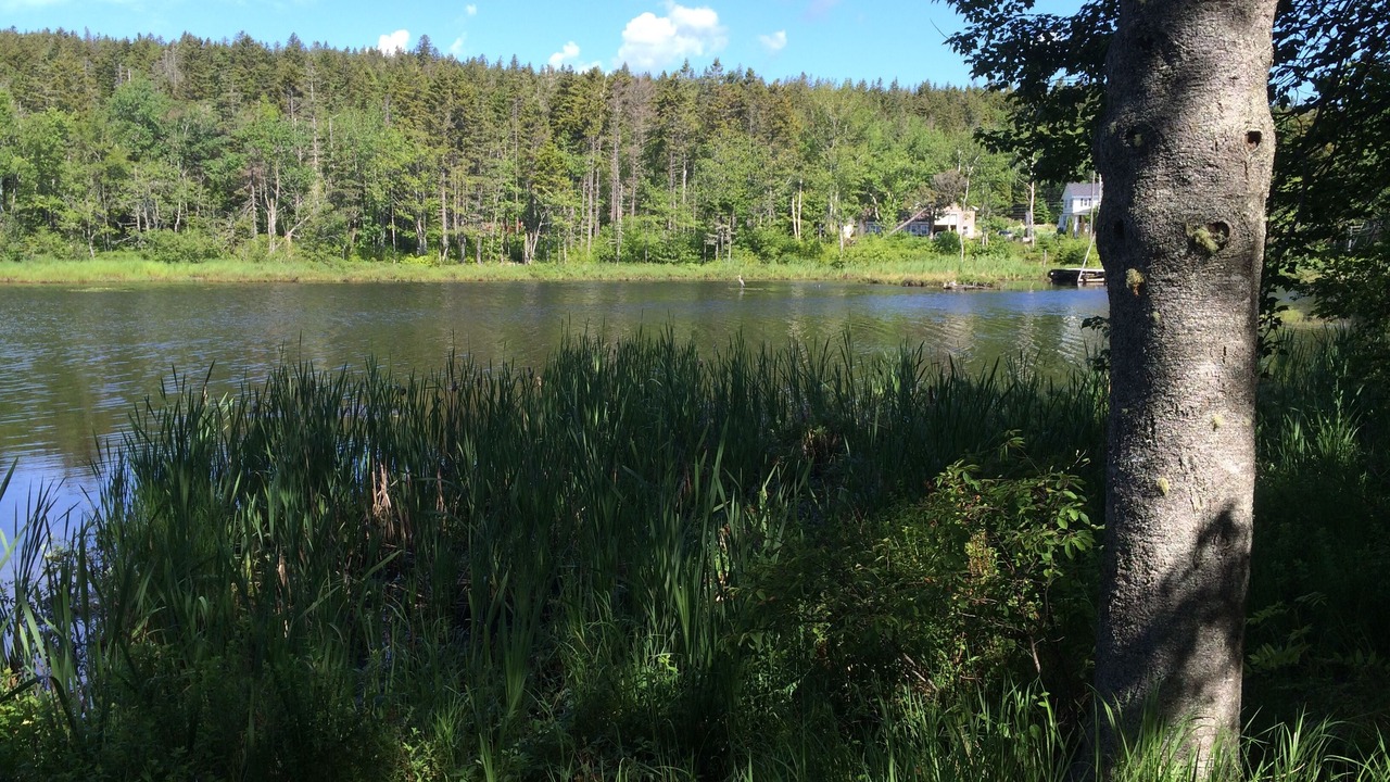 Photo of Outdoor in Ingramport