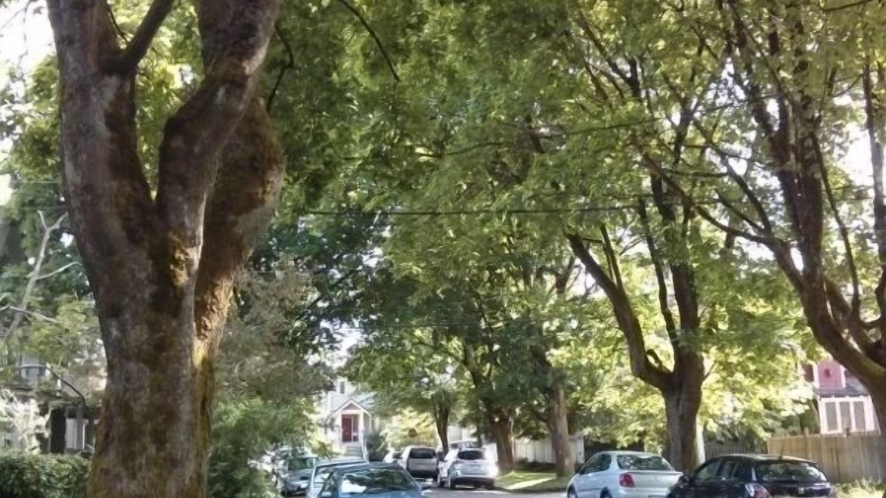 Photo of Others in Riley Park