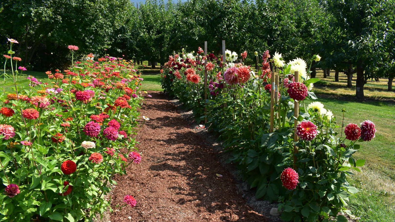 Photo of Outdoor in Wynndel
