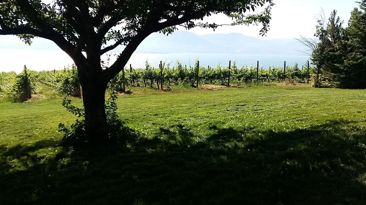 Photo of Outdoor in Okanagan-Similkameen