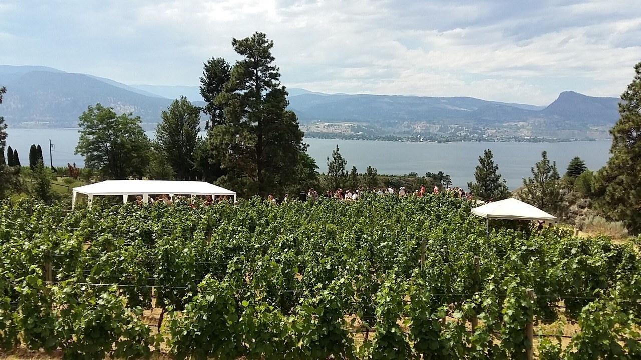 Photo of Others in Okanagan-Similkameen