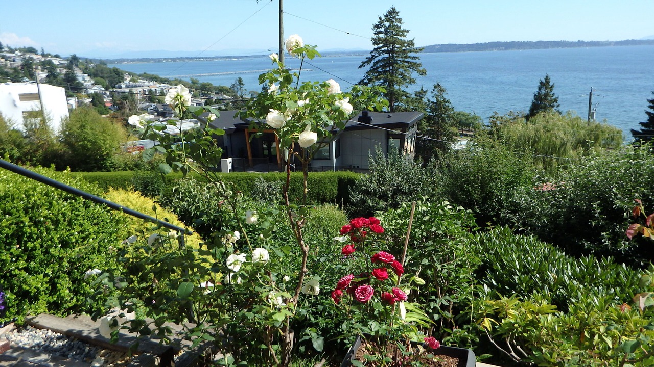 Photo of Outdoor in White Rock