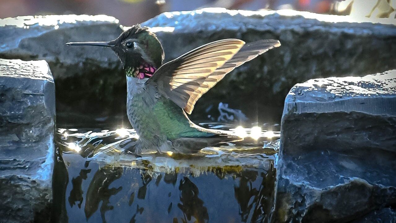 Photo of Outdoor in White Rock