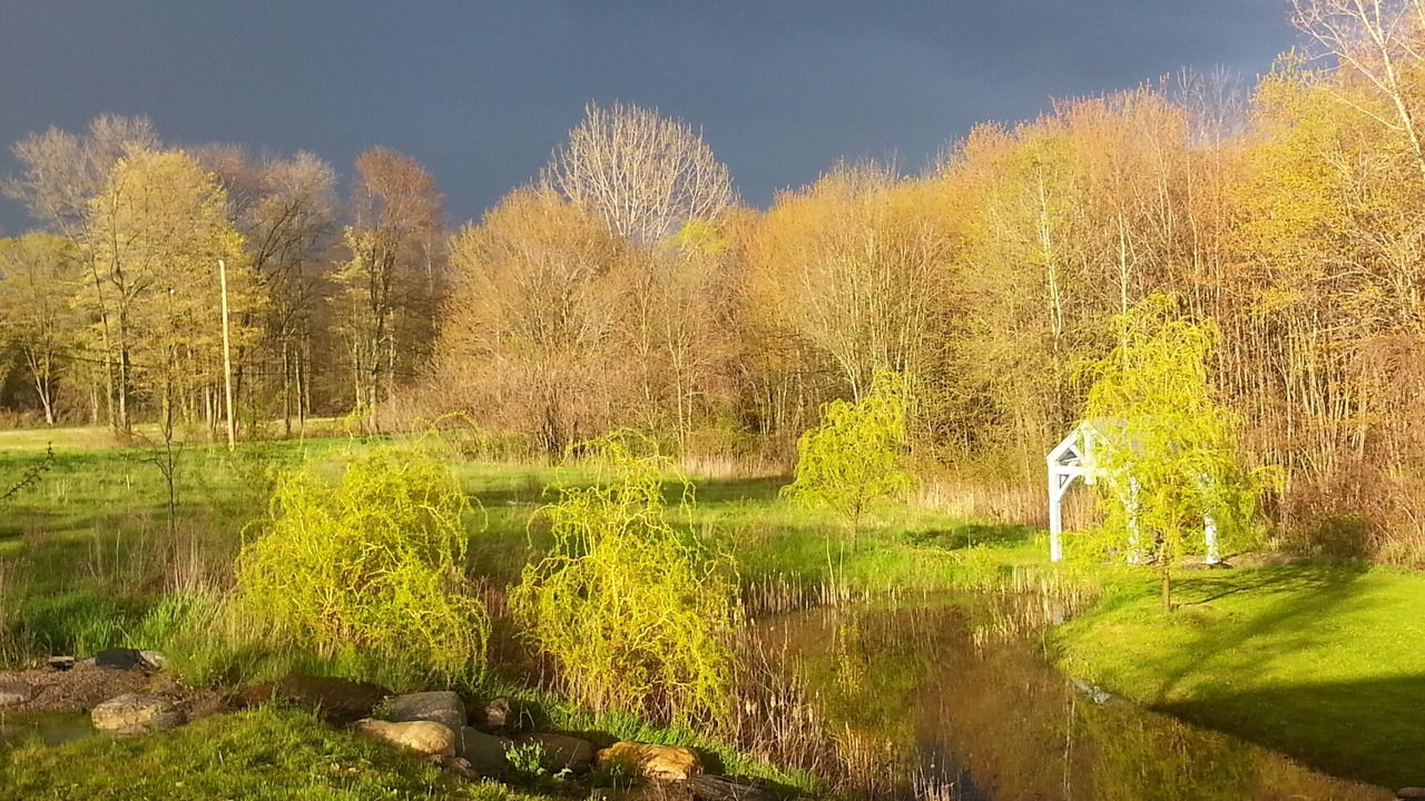 Photo of Outdoor in Consecon