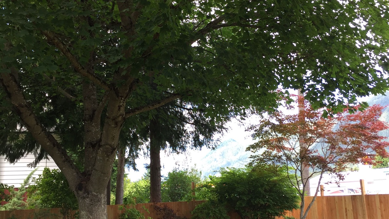 Photo of Outdoor in Sicamous