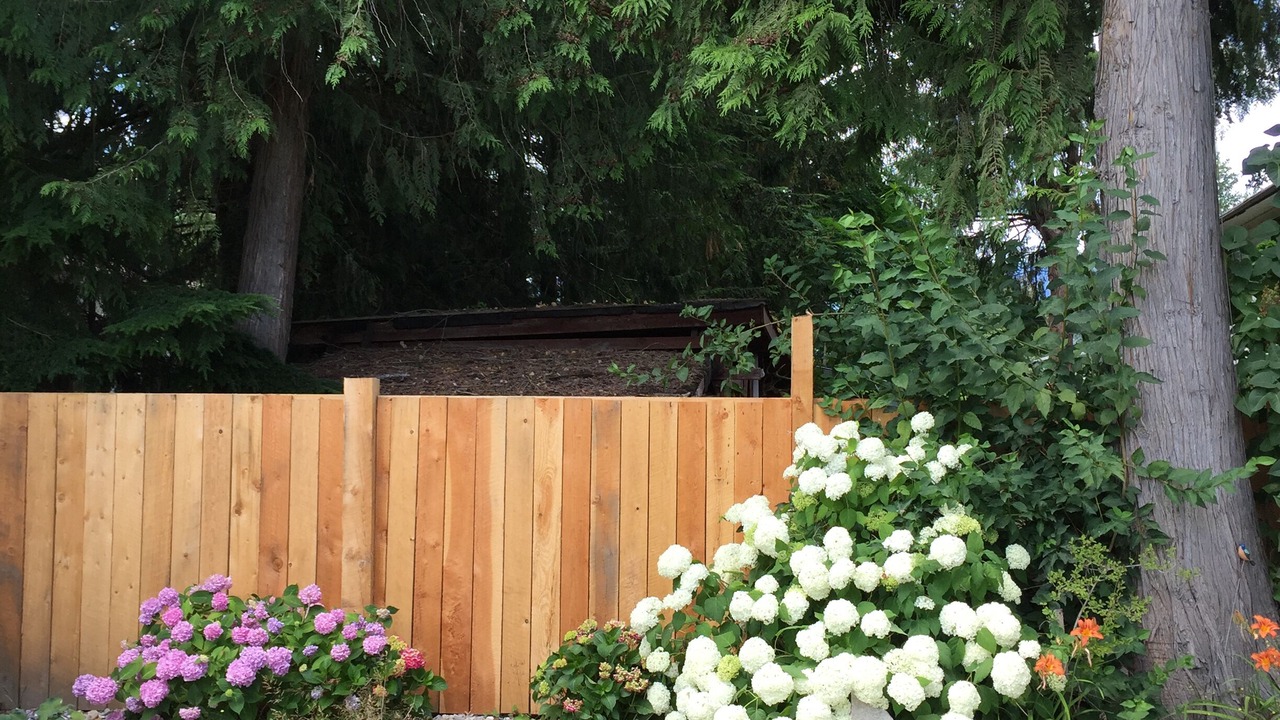 Photo of Outdoor in Sicamous