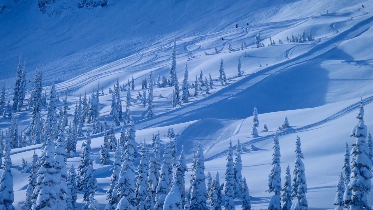 Photo of Others in East Kootenay