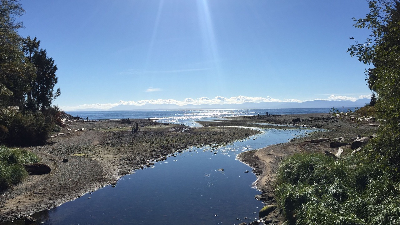 Photo of Others in Wilson Creek