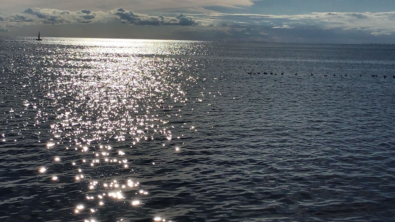 Photo of Others in Victoria