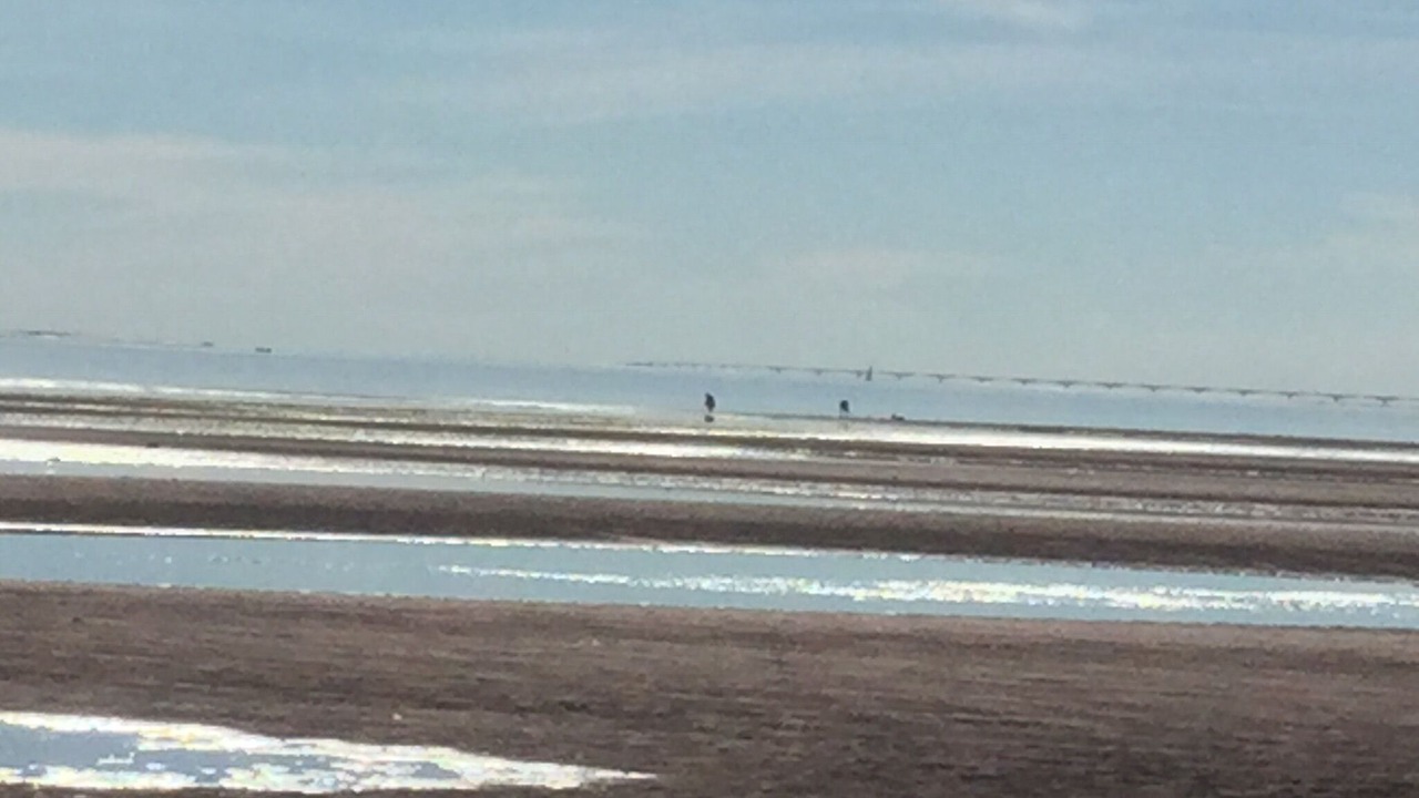 Photo of Others in Victoria