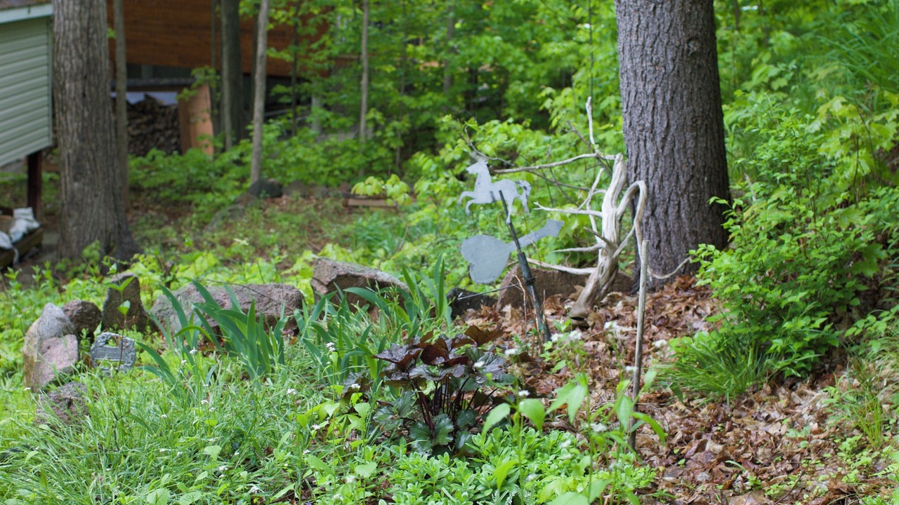 Photo of Outdoor in Tay Valley