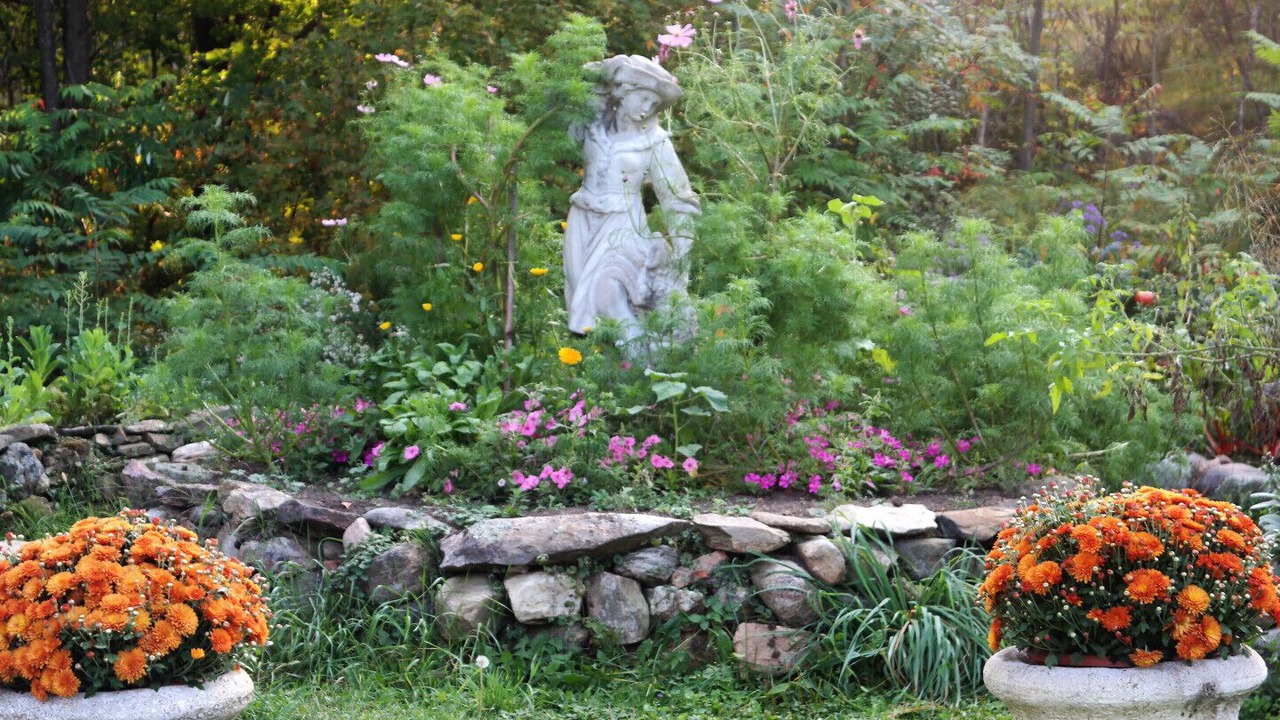 Photo of Outdoor in Tay Valley