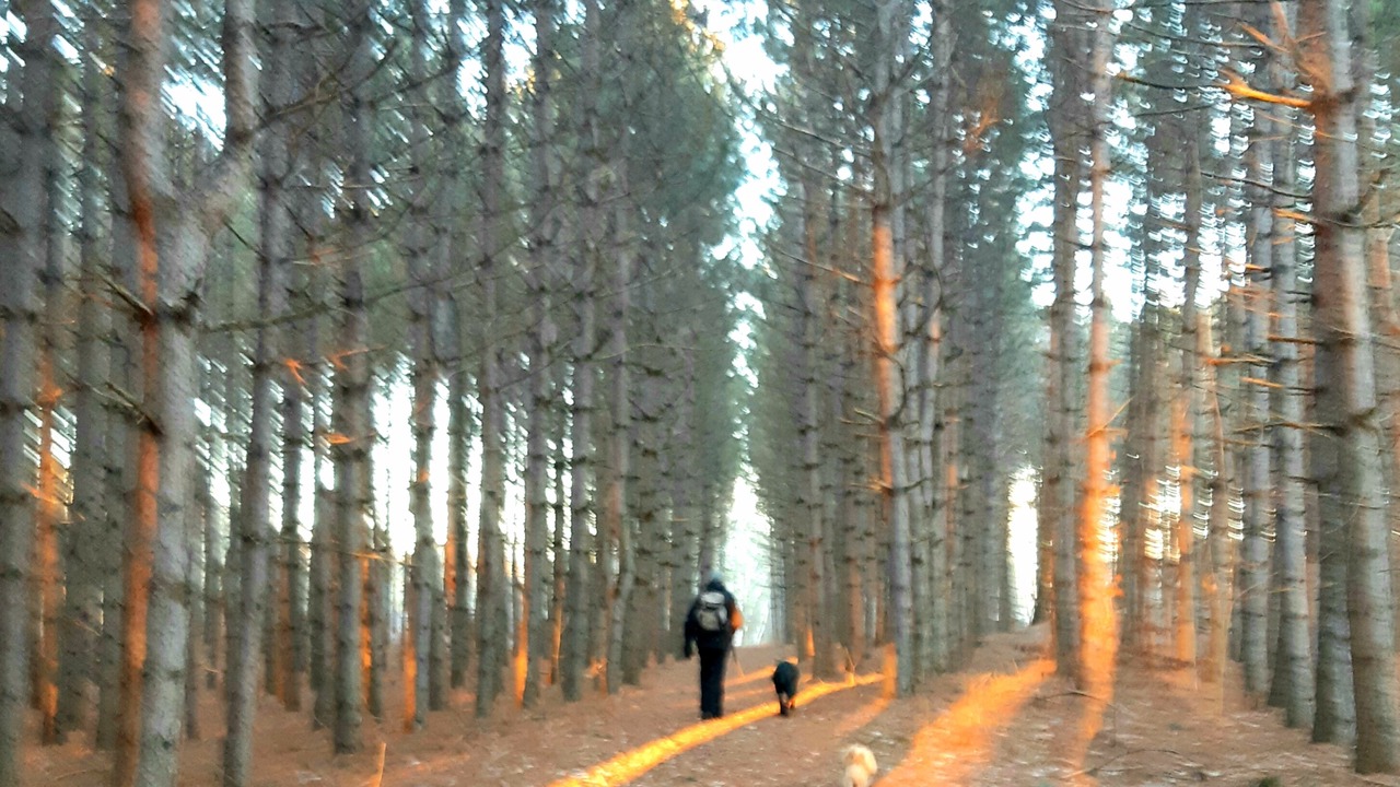 Photo of Others in Tay Valley
