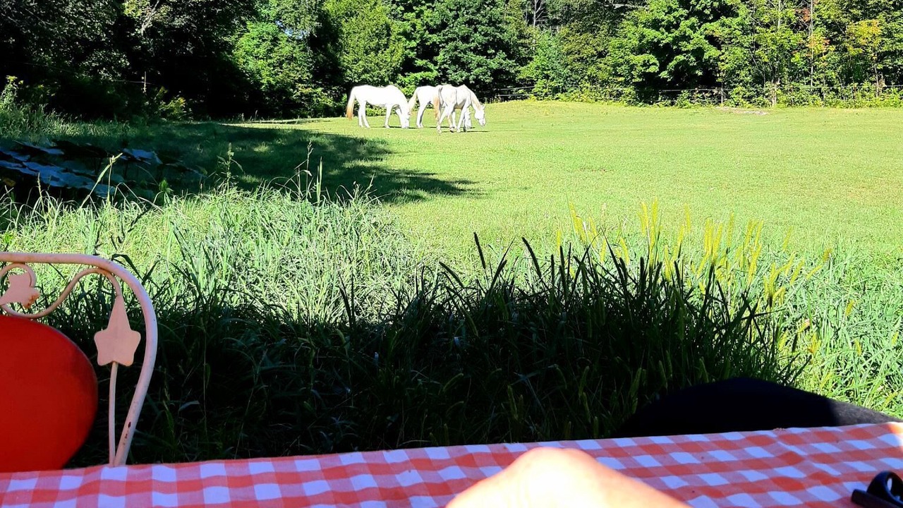 Photo of Outdoor in Tay Valley