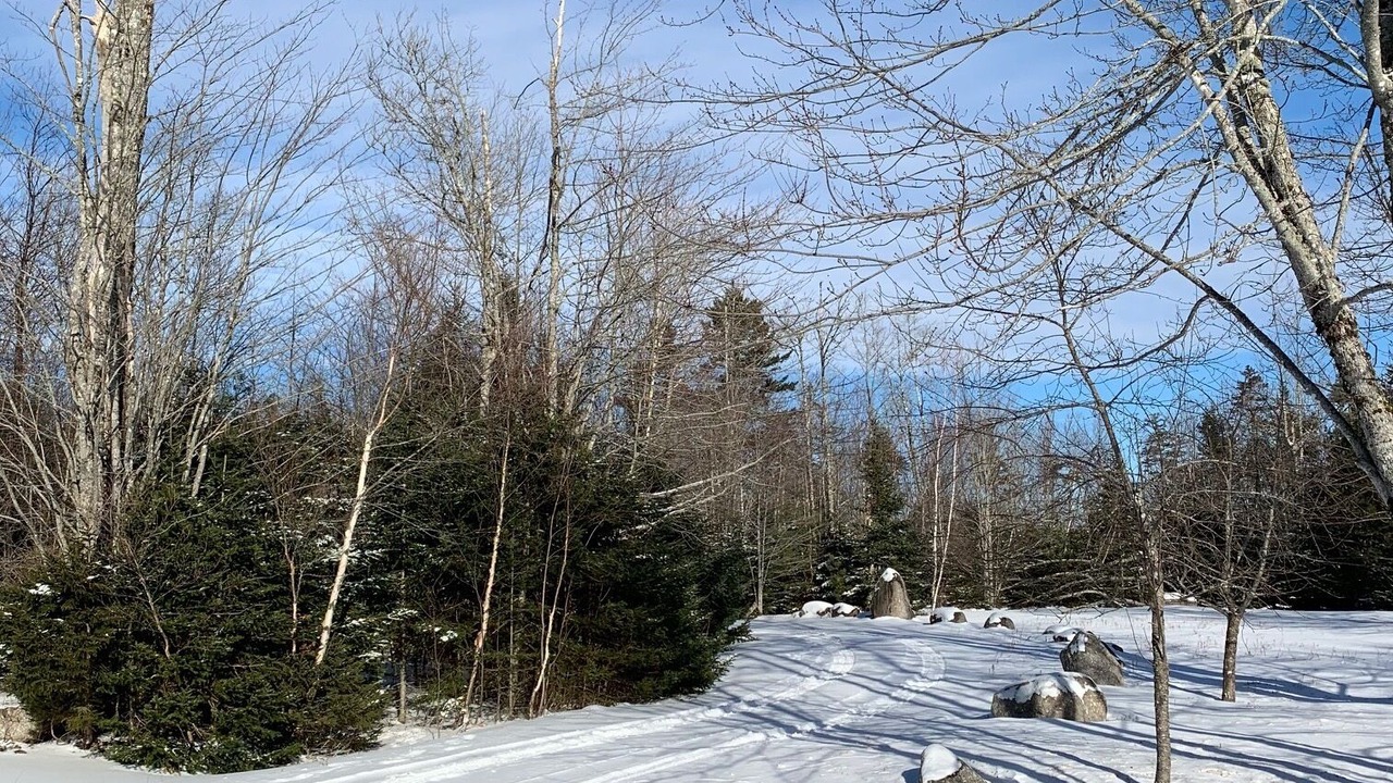 Photo of Others in Mill Road