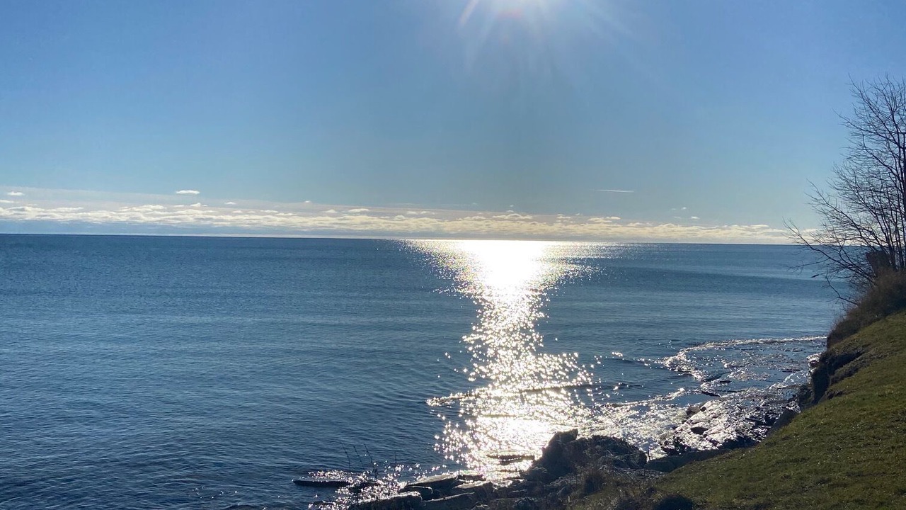 Photo of Outdoor in Wellington