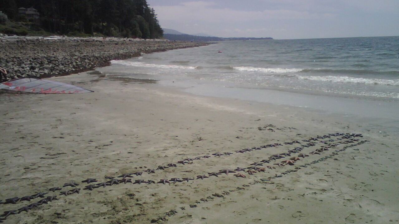 Photo of Others in West Sechelt