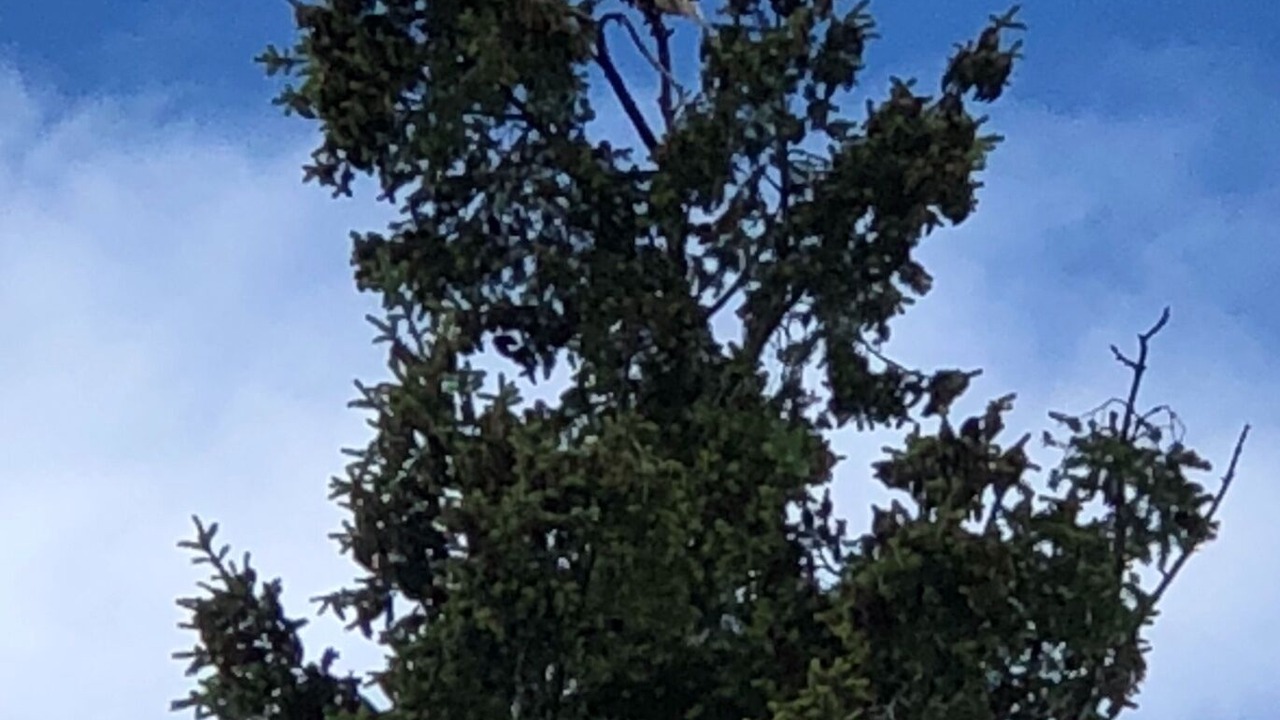 Photo of Others in Regional District of Nanaimo