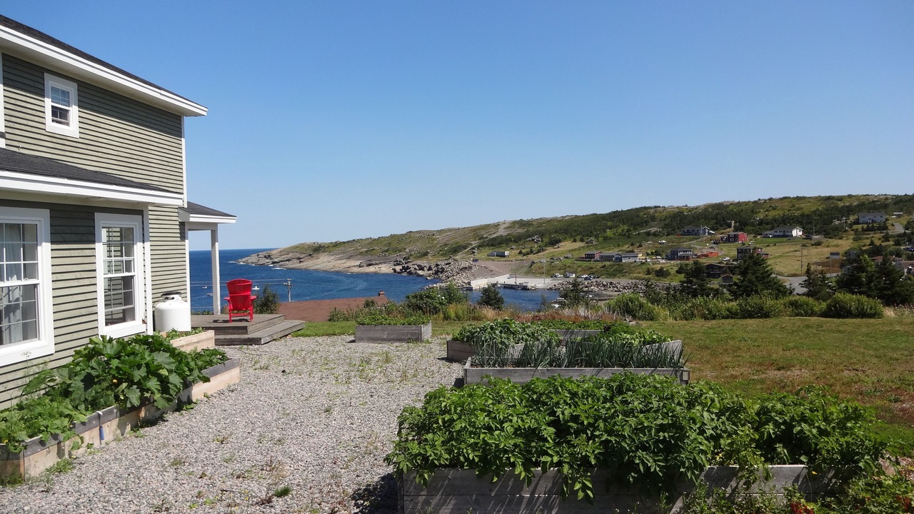 Photo of Outdoor in Flatrock
