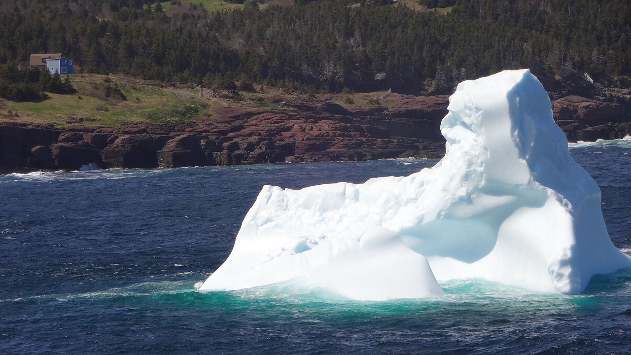 Photo of Others in Flatrock