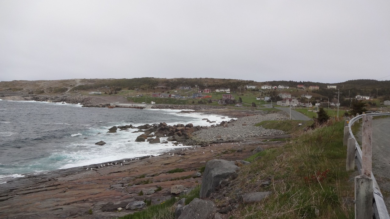 Photo of Others in Flatrock