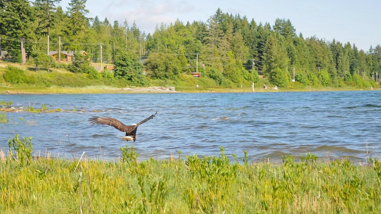 Photo of Outdoor in Union Bay