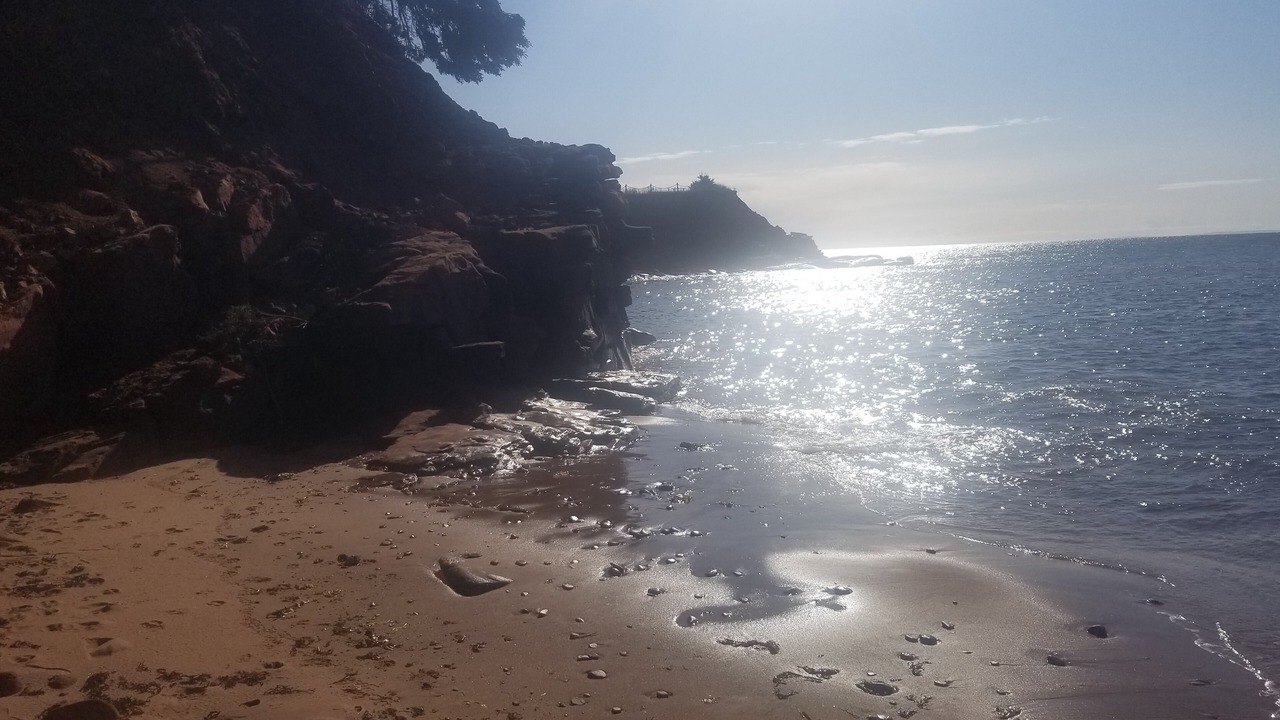Photo of Others in Guernsey Cove