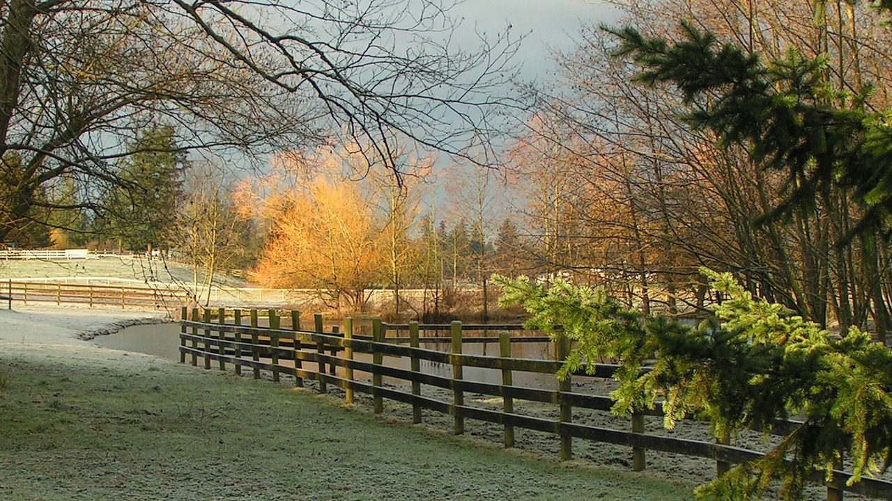 Photo of Others in Langley