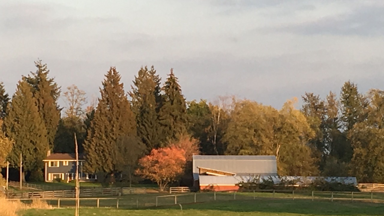 Photo of Others in Langley