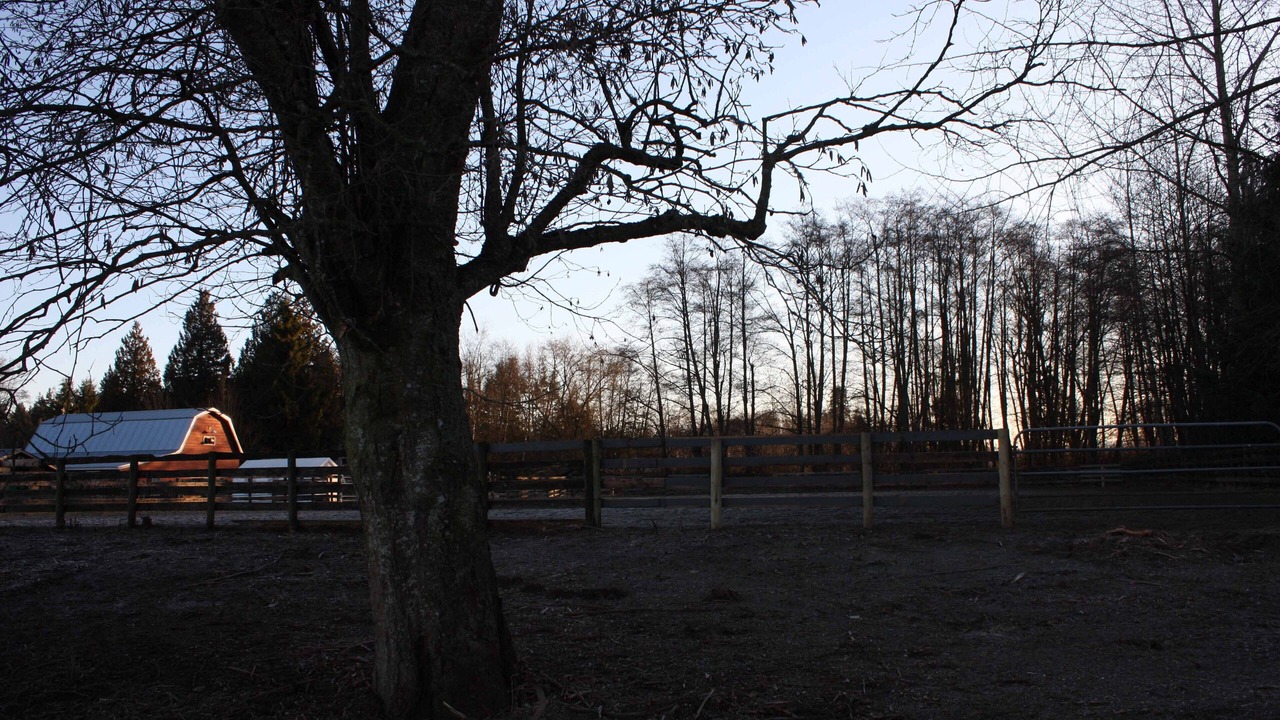 Photo of Others in Langley