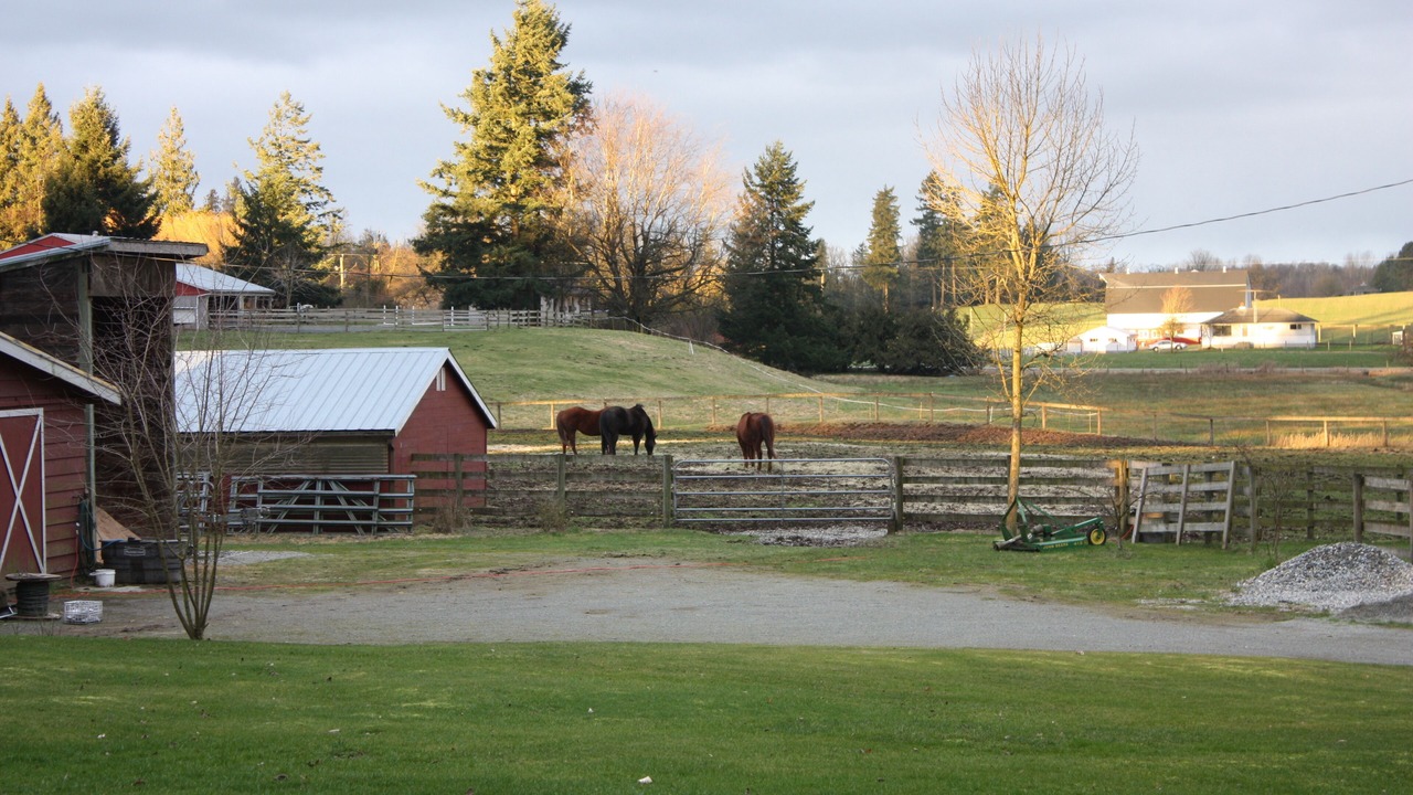 Photo of Others in Langley