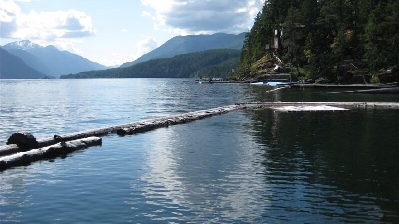 Photo of Outdoor in Sproat Lake
