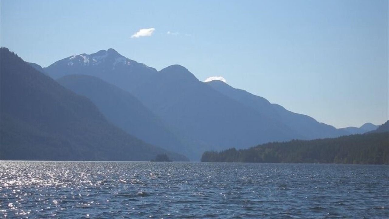 Photo of Others in Sproat Lake