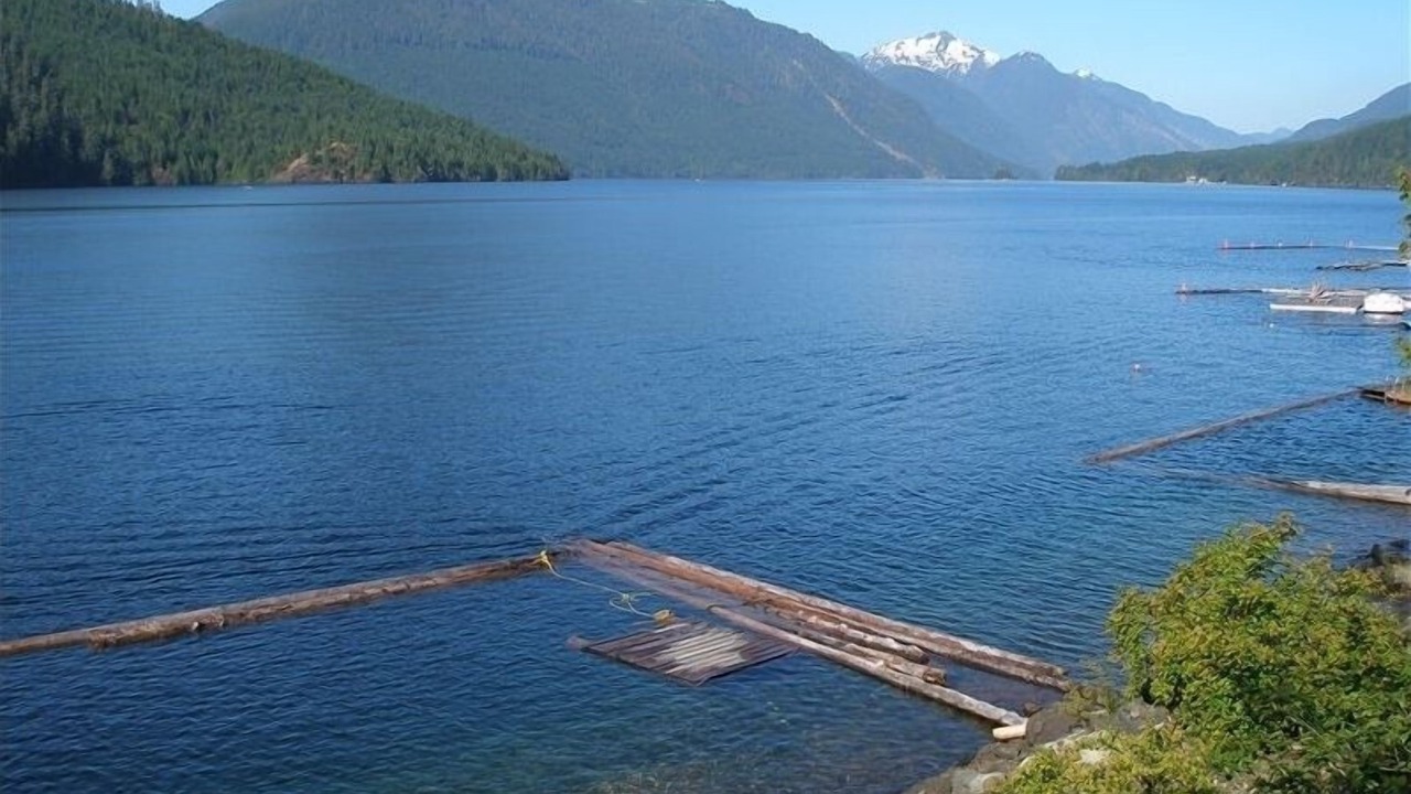 Photo of Others in Sproat Lake