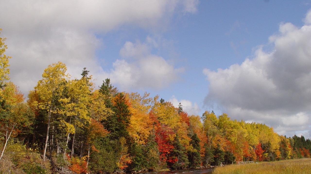 Photo of Outdoor in Tidnish Bridge
