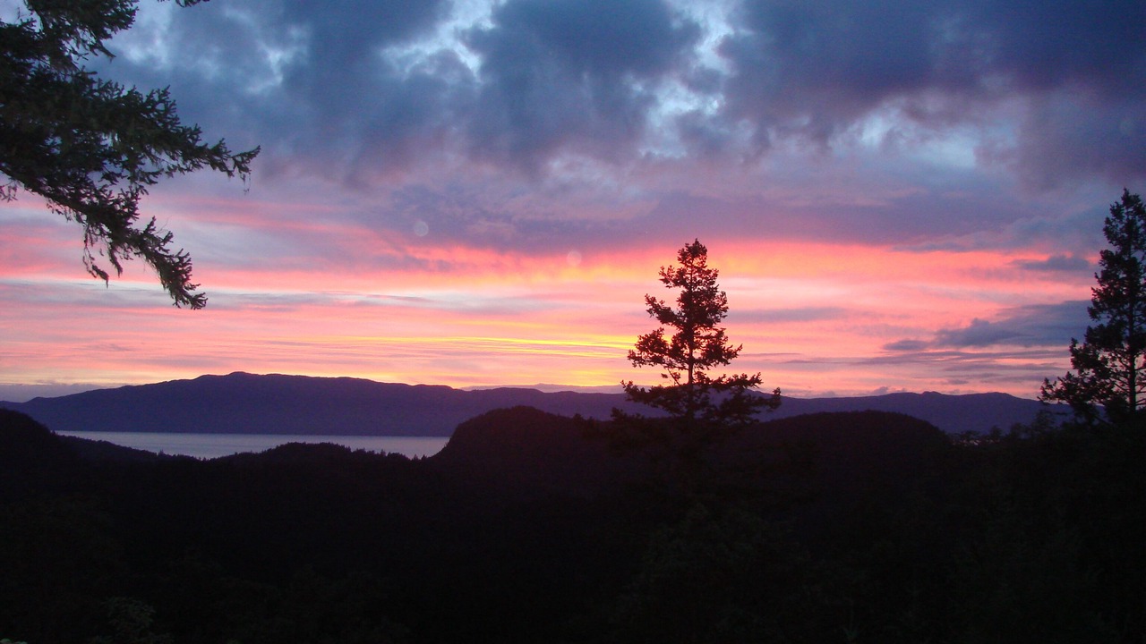 Photo of Others in Sunshine Coast