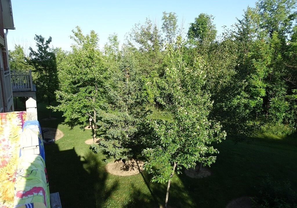 Photo of Outdoor in The Blue Mountains