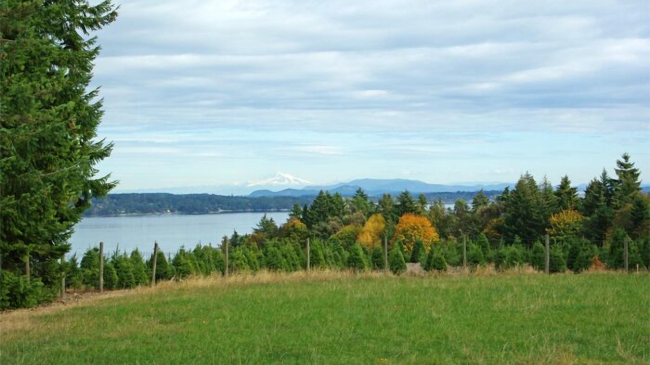 Photo of Others in Mill Bay
