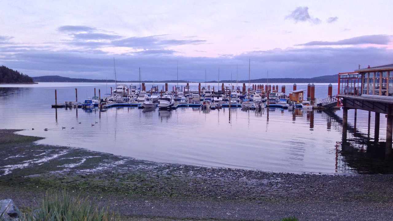 Photo of Others in Mill Bay