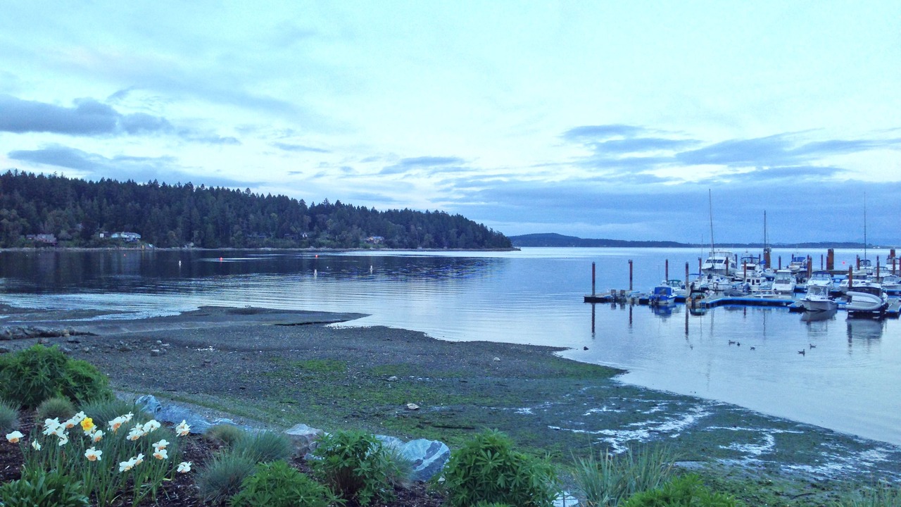 Photo of Others in Mill Bay