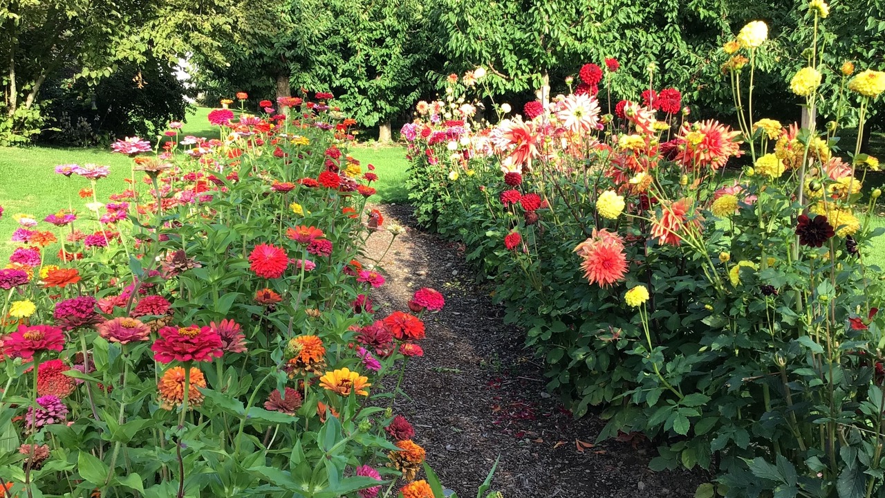 Photo of Outdoor in Wynndel