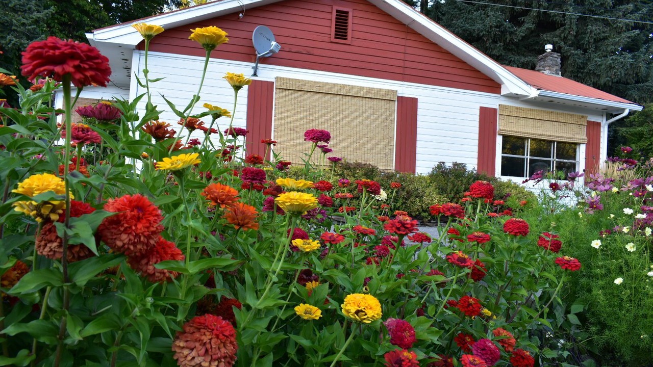 Photo of Outdoor in Wynndel
