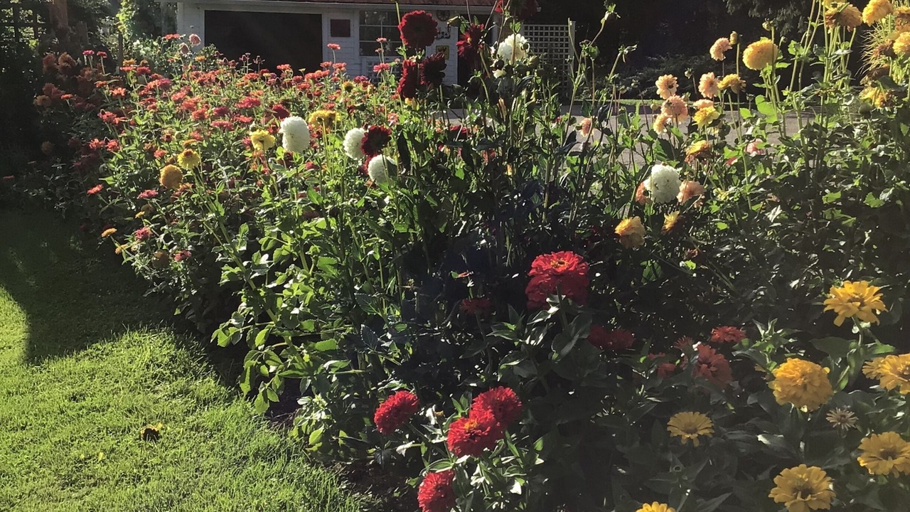 Photo of Outdoor in Wynndel