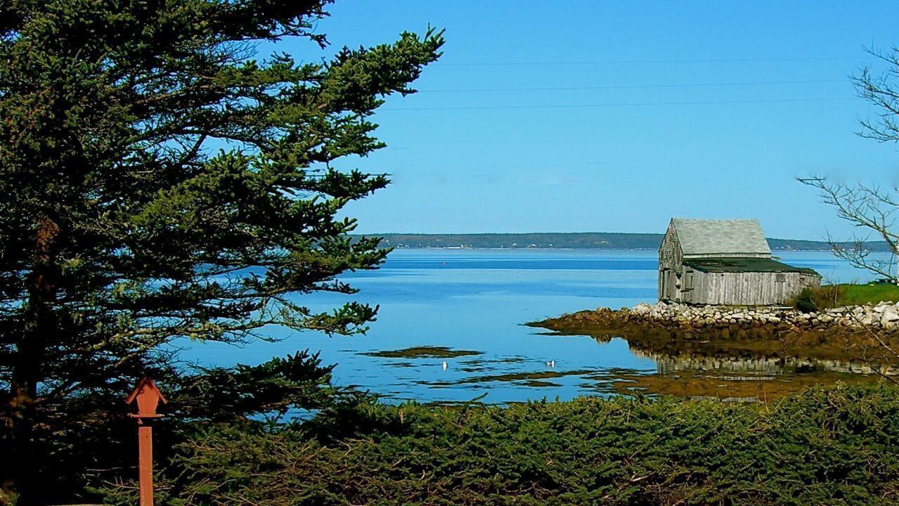 Photo of Others in Hacketts Cove