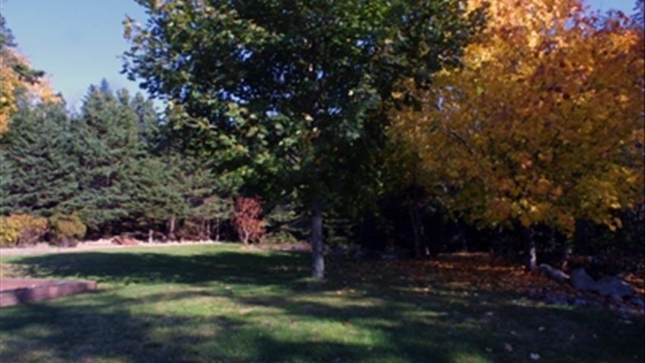 Photo of Others in Hacketts Cove