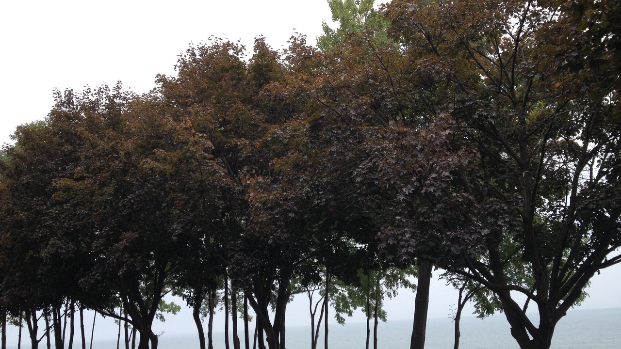 Photo of Outdoor in Niagara-on-the-Lake