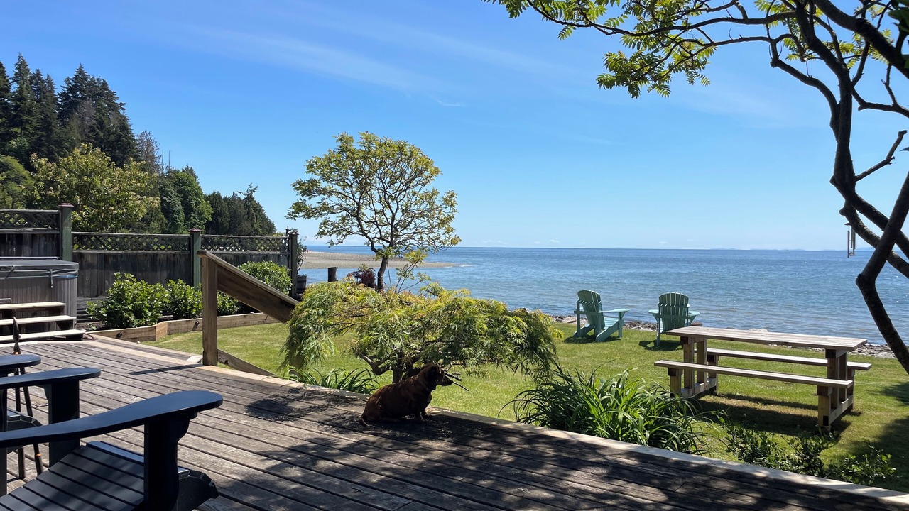 Photo of Outdoor in Roberts Creek